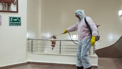 صورة أفضل شركة رش صراصير في العين -506027161 –  خدمة معتمدة